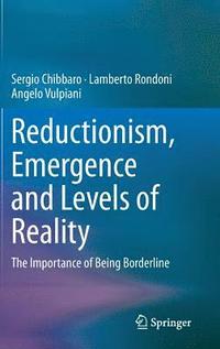 bokomslag Reductionism, Emergence and Levels of Reality