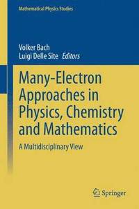 bokomslag Many-Electron Approaches in Physics, Chemistry and Mathematics
