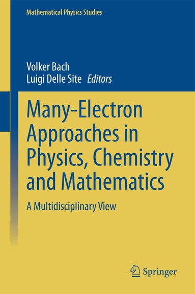 Volker Bach, Luigi Delle Site - Many-Electron Approaches in Physics, Chemistry and Mathematics, Inbunden