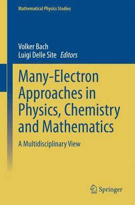 Many-Electron Approaches in Physics, Chemistry and Mathematics 1