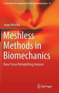 bokomslag Meshless Methods in Biomechanics