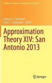 bokomslag Approximation Theory XIV: San Antonio 2013