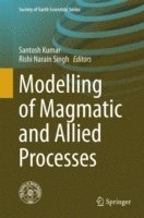 bokomslag Modelling of Magmatic and Allied Processes