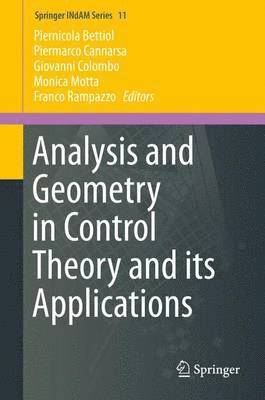 bokomslag Analysis and Geometry in Control Theory and its Applications