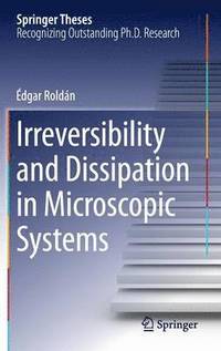 bokomslag Irreversibility and Dissipation in Microscopic Systems