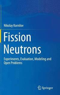 bokomslag Fission Neutrons