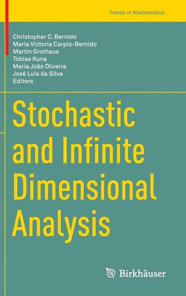 bokomslag Stochastic and Infinite Dimensional Analysis