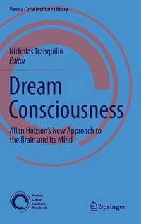 bokomslag Dream Consciousness