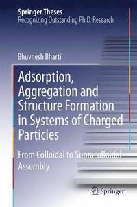 bokomslag Adsorption, Aggregation and Structure Formation in Systems of Charged Particles