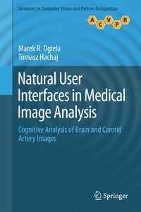 bokomslag Natural User Interfaces in Medical Image Analysis