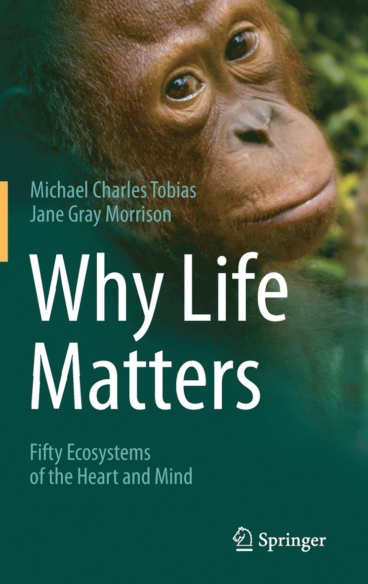 Why Life Matters 1