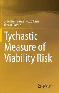 bokomslag Tychastic Measure of Viability Risk