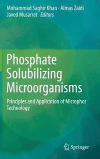 bokomslag Phosphate Solubilizing Microorganisms
