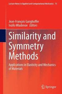 bokomslag Similarity and Symmetry Methods