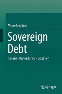 bokomslag Sovereign Debt