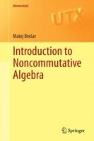 bokomslag Introduction to Noncommutative Algebra