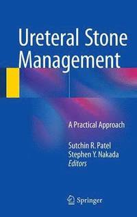 bokomslag Ureteral Stone Management