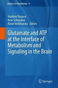 bokomslag Glutamate and ATP at the Interface of Metabolism and Signaling in the Brain