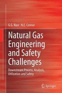 bokomslag Natural Gas Engineering and Safety Challenges