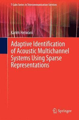 bokomslag Adaptive Identification of Acoustic Multichannel Systems Using Sparse Representations