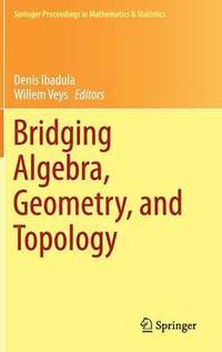 bokomslag Bridging Algebra, Geometry, and Topology