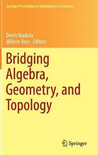 bokomslag Bridging Algebra, Geometry, and Topology