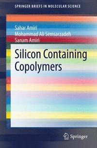 bokomslag Silicon Containing Copolymers