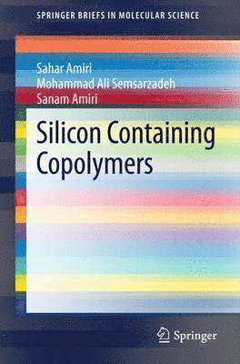 Silicon Containing Copolymers 1