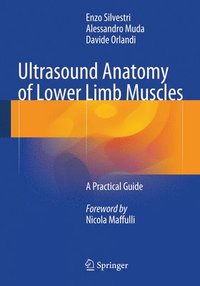 bokomslag Ultrasound Anatomy of Lower Limb Muscles