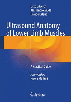 Enzo Silvestri, Alessandro Muda, Davide Orlandi - Ultrasound Anatomy of Lower Limb Muscles, Häftad