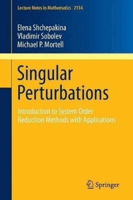 bokomslag Singular Perturbations