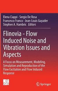 bokomslag Flinovia - Flow Induced Noise and Vibration Issues and Aspects
