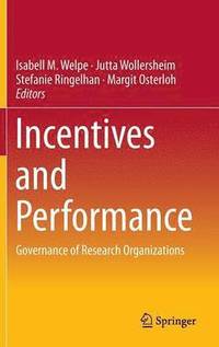 bokomslag Incentives and Performance