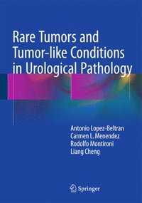 bokomslag Rare Tumors and Tumor-like Conditions in Urological Pathology
