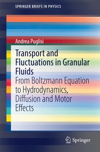 bokomslag Transport and Fluctuations in Granular Fluids