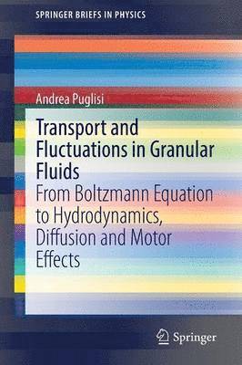 Andrea Puglisi - Transport and Fluctuations in Granular Fluids, Häftad