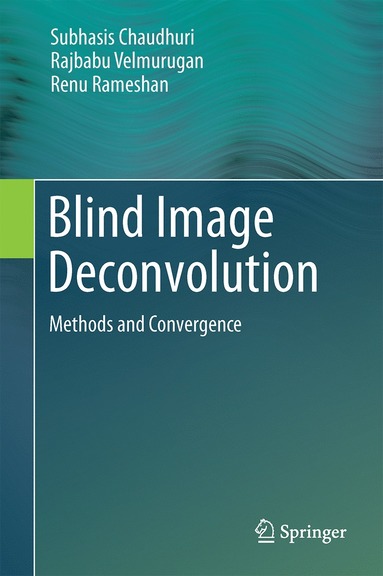 bokomslag Blind Image Deconvolution