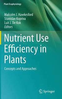 bokomslag Nutrient Use Efficiency in Plants