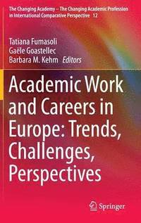 bokomslag Academic Work and Careers in Europe: Trends, Challenges, Perspectives