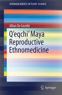 bokomslag Q'eqchi' Maya Reproductive Ethnomedicine