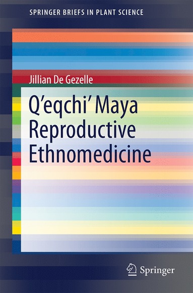 bokomslag Q'eqchi' Maya Reproductive Ethnomedicine