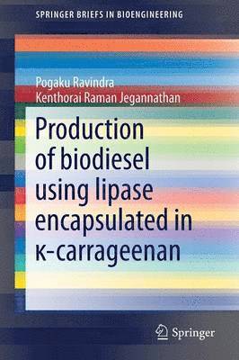 Pogaku Ravindra, Kenthorai Raman Jegannathan - Production of biodiesel using lipase encapsulated in κ-carrageenan, Häftad
