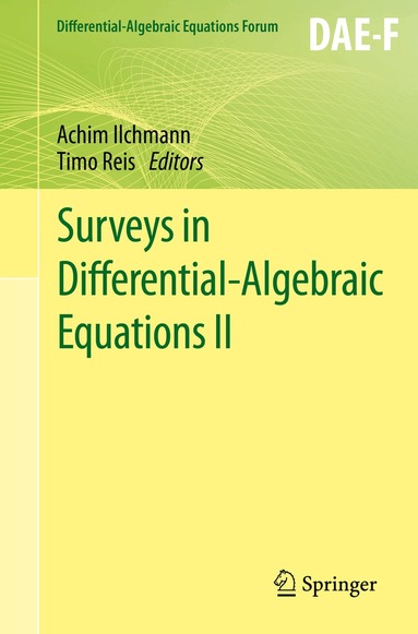 Achim Ilchmann, Timo Reis - Surveys in Differential-Algebraic Equations II, Häftad