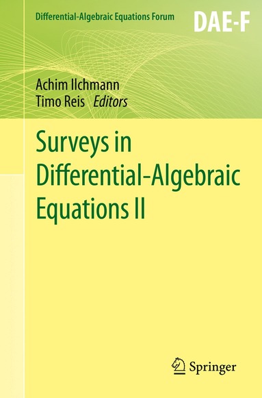 bokomslag Surveys in Differential-Algebraic Equations II