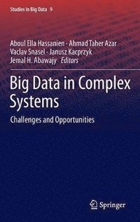 bokomslag Big Data in Complex Systems