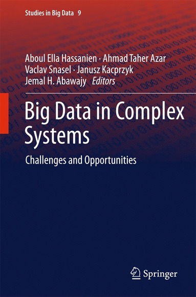 bokomslag Big Data in Complex Systems