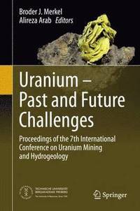bokomslag Uranium - Past and Future Challenges
