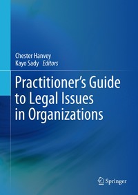 bokomslag Practitioner's Guide to Legal Issues in Organizations