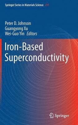 Iron-Based Superconductivity 1