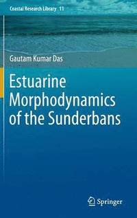 bokomslag Estuarine Morphodynamics of the Sunderbans